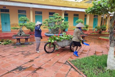 TRƯỜNG TIỂU HỌC GIAO LẠC HƯỞNG ỨNG NGÀY MÔI TRƯỜNG THẾ GIỚI NĂM 2026